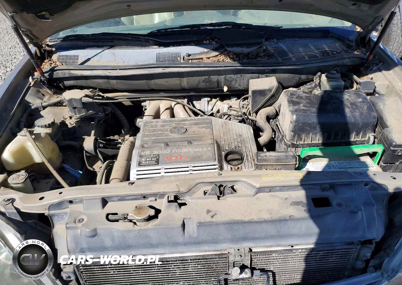 1999 Lexus Rx 300 VIN:JT6HF10UXX0044020 - 12