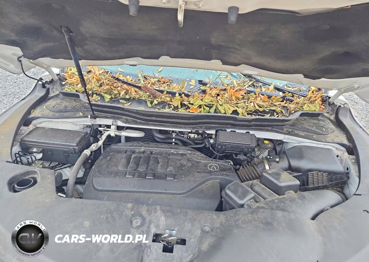 2020 Acura Mdx Technology VIN:5J8YD3H54LL005666 - 11