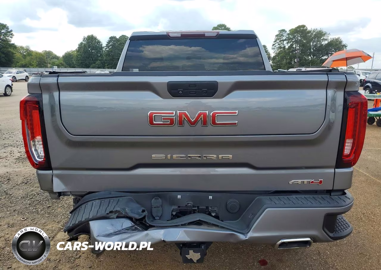 2021 GMC Sierra K1500 At4 VIN:3GTP9EED5MG457644 - 6