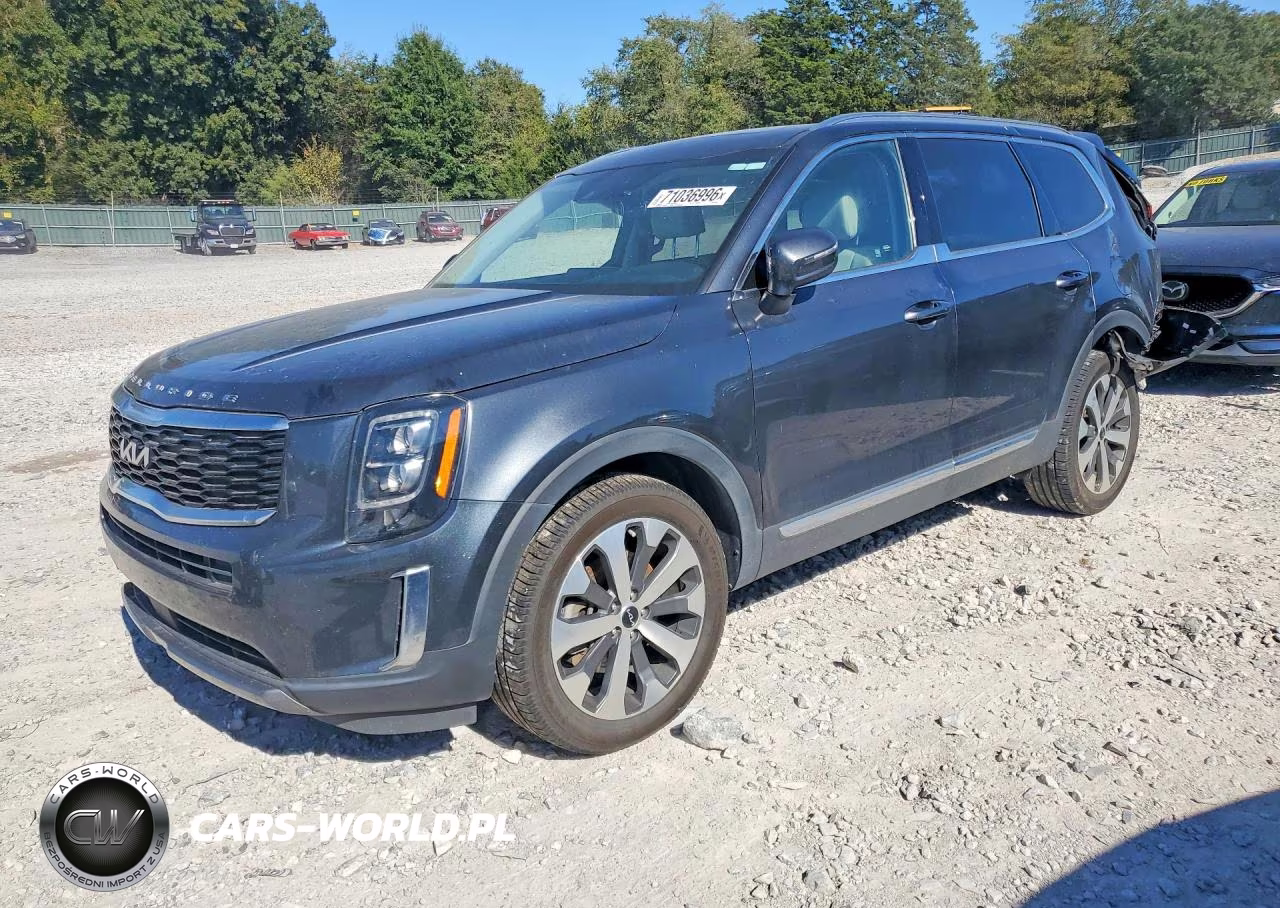 2022 Kia Telluride Ex VIN:5XYP3DHC6NG316144 - 1