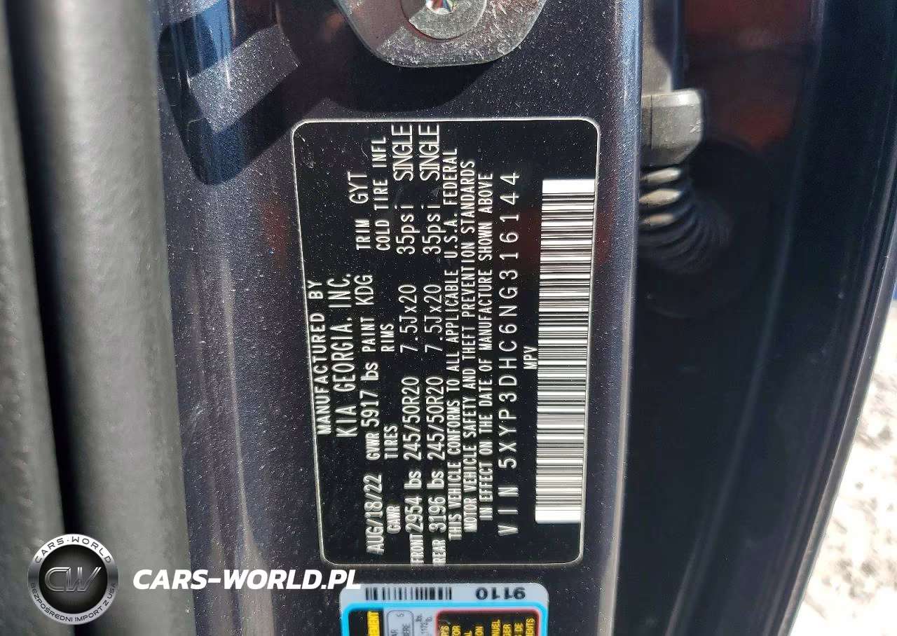 2022 Kia Telluride Ex VIN:5XYP3DHC6NG316144 - 13