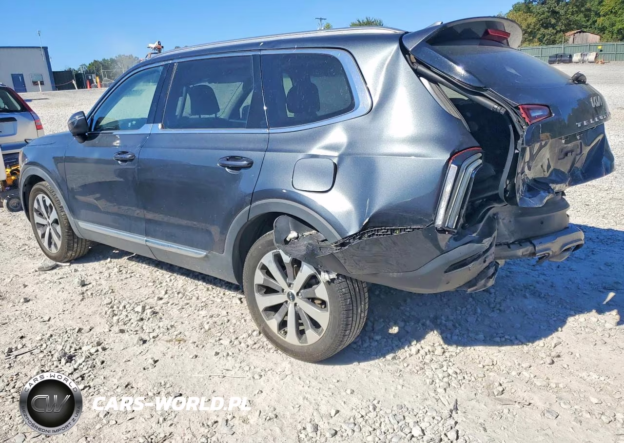 2022 Kia Telluride Ex VIN:5XYP3DHC6NG316144 - 2