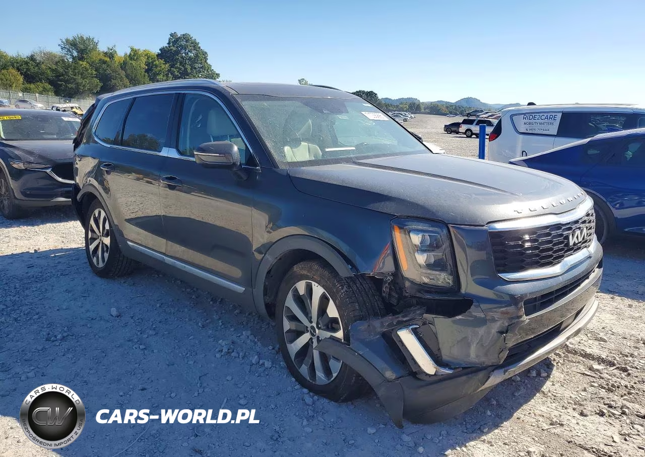 2022 Kia Telluride Ex VIN:5XYP3DHC6NG316144 - 4