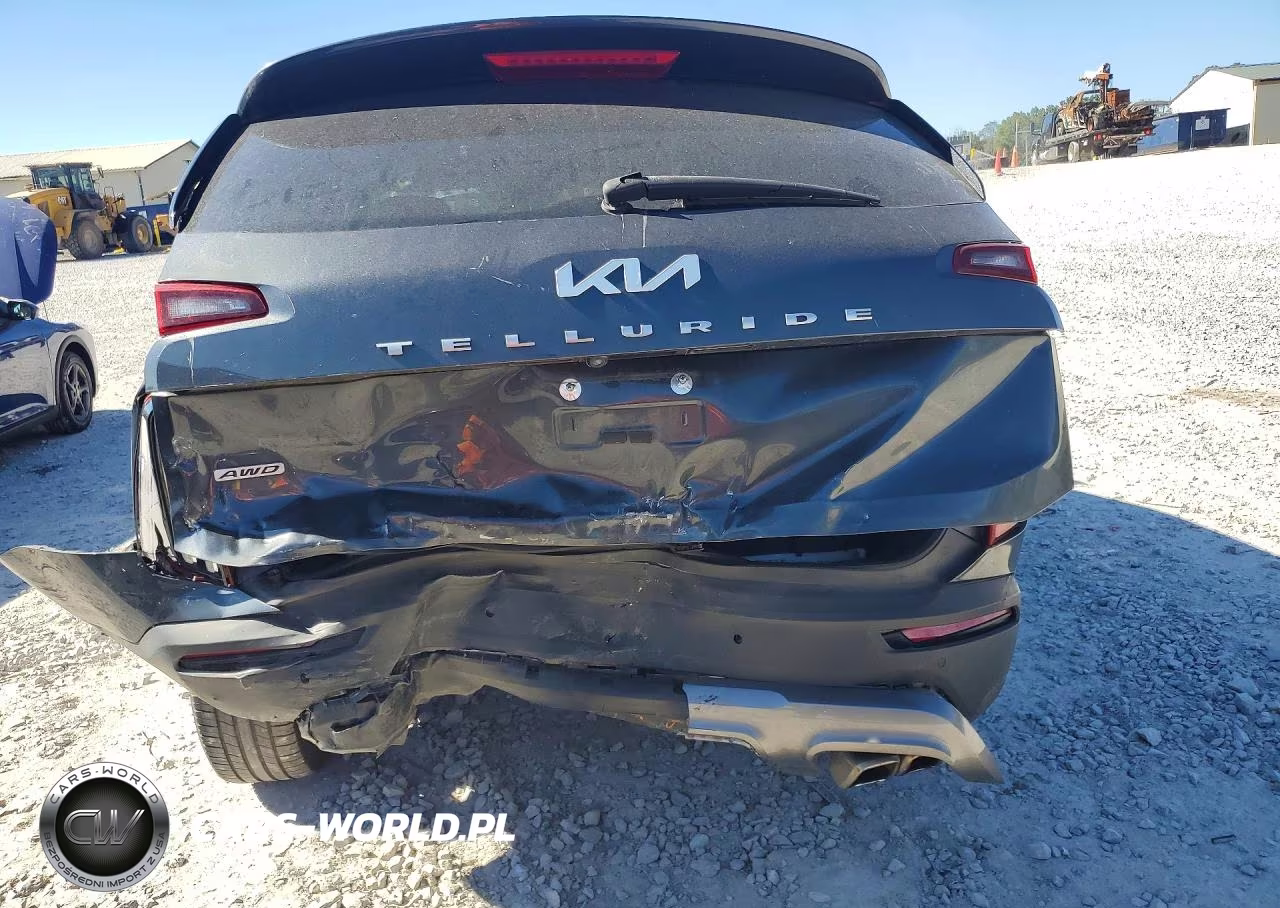 2022 Kia Telluride Ex VIN:5XYP3DHC6NG316144 - 6