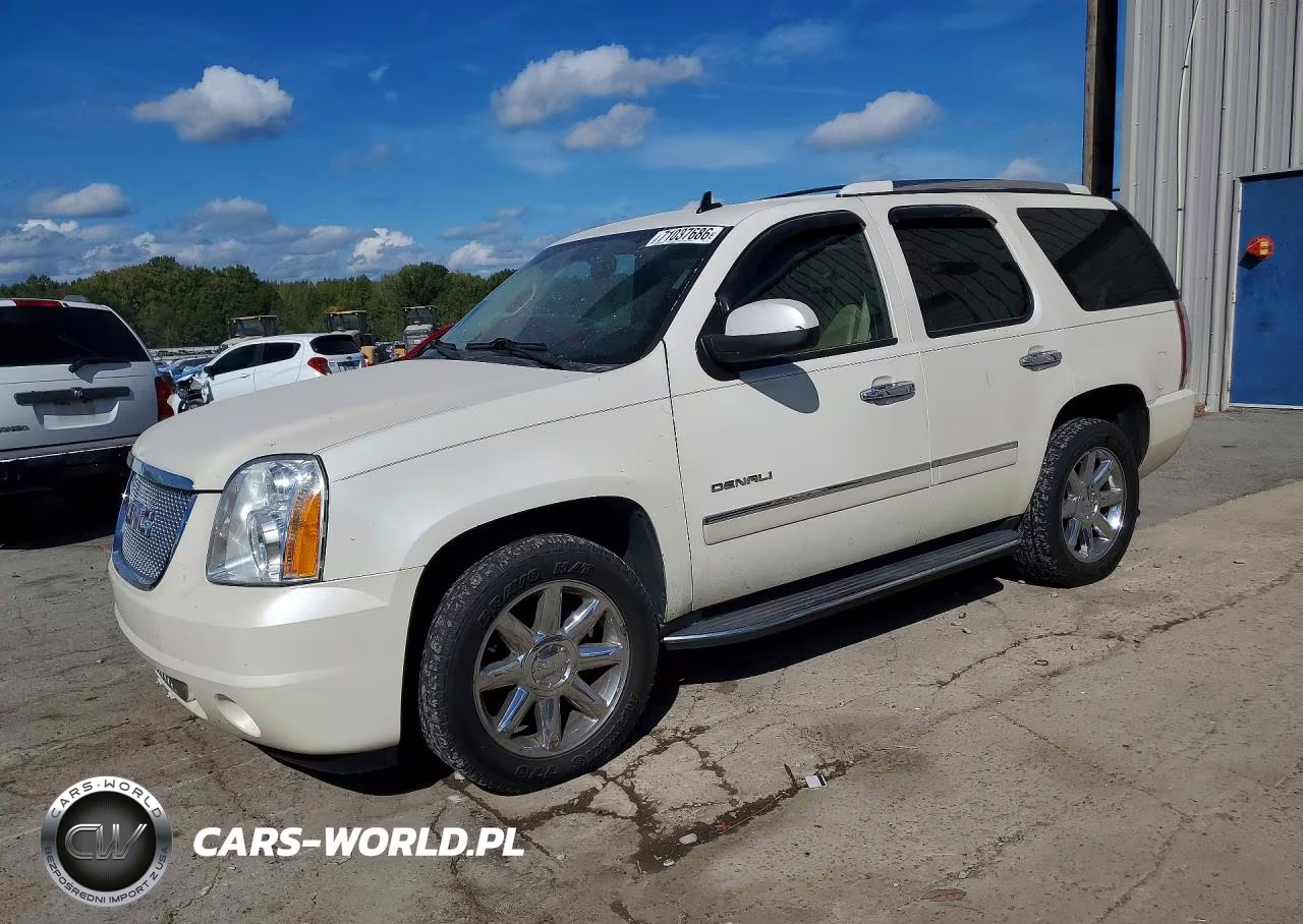 2010 GMC Yukon Denali VIN:1GKUKEEF6AR253296 - 1