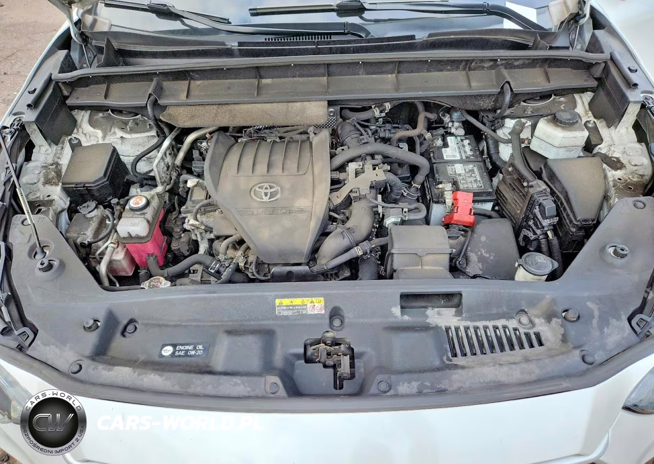 2023 Toyota Highlander Xle VIN:5TDKDRBH1PS015487 - 12