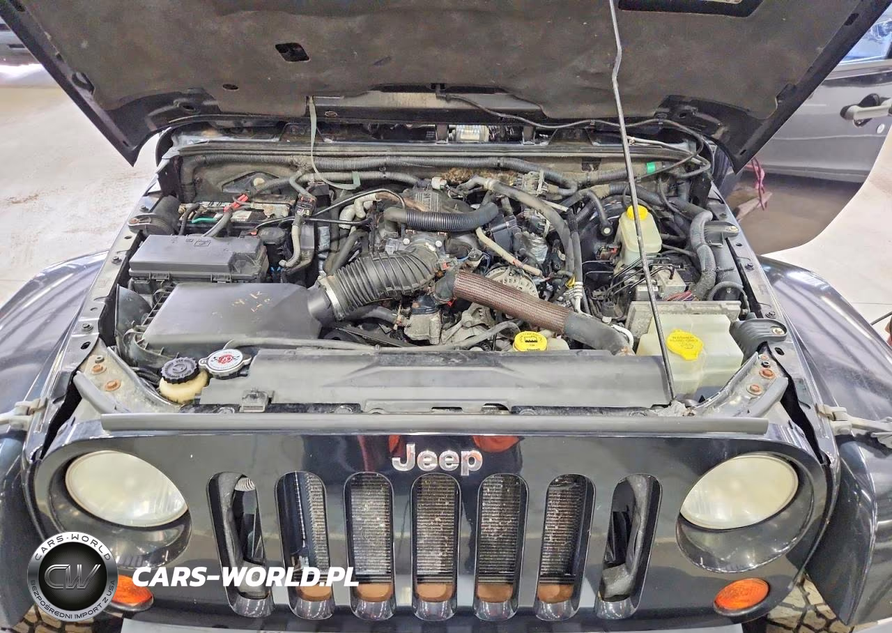 2010 Jeep Wrangler Unlimited Sahara VIN:1J4HA5H19AL157272 - 11