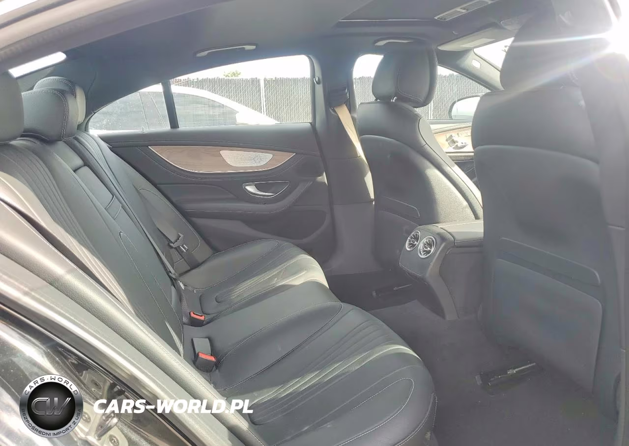2019 Mercedes-Benz Cls 450 VIN:WDD2J5JB1KA015175 - 10