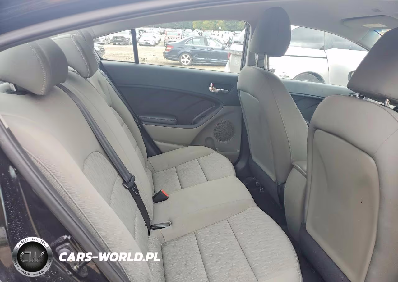 2015 Kia Forte Lx VIN:KNAFK4A67F5392465 - 10