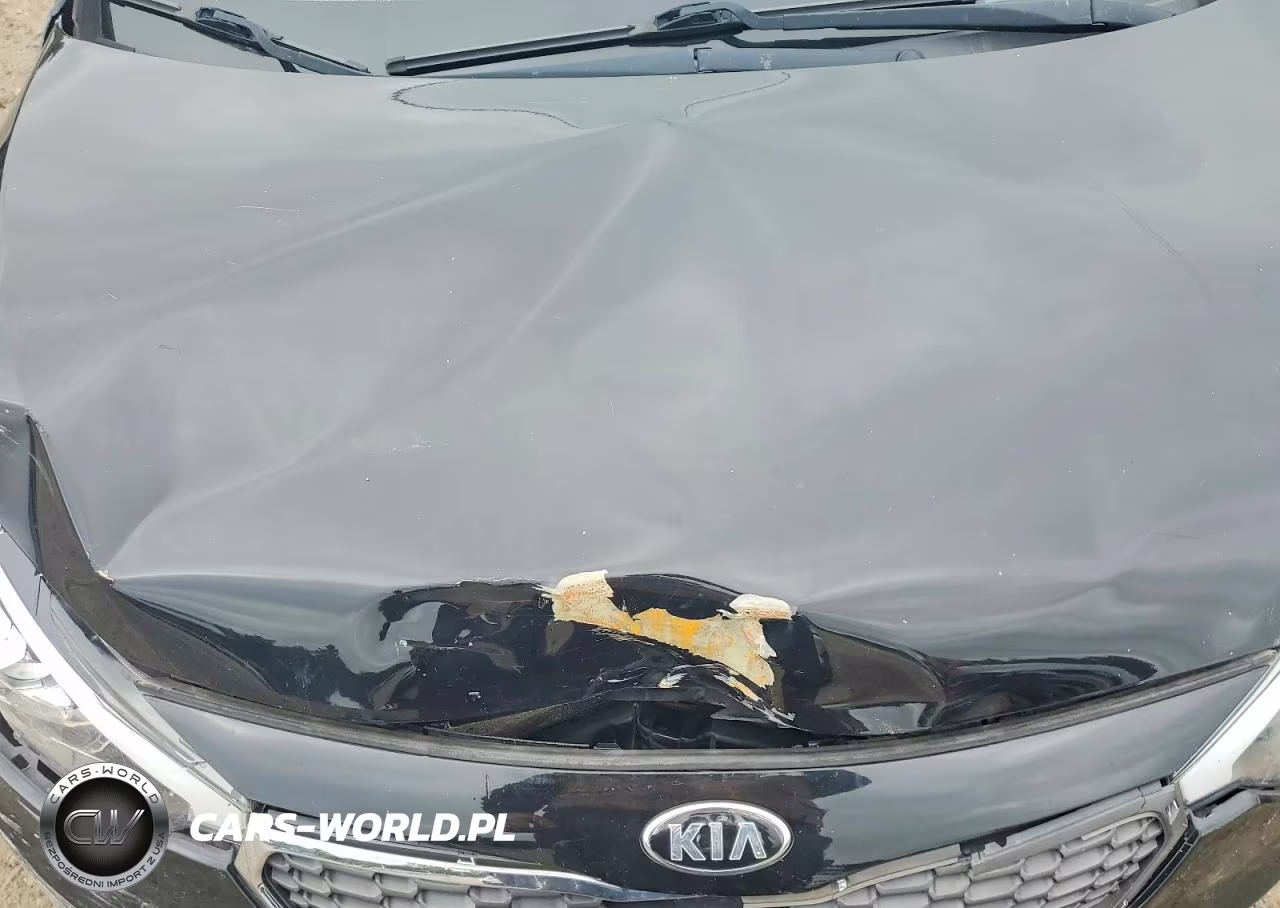 2015 Kia Forte Lx VIN:KNAFK4A67F5392465 - 11