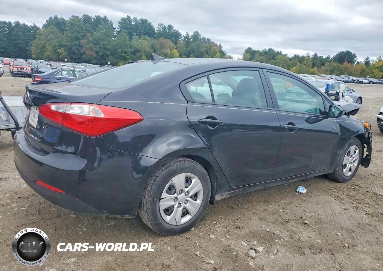 2015 Kia Forte Lx VIN:KNAFK4A67F5392465 - 3
