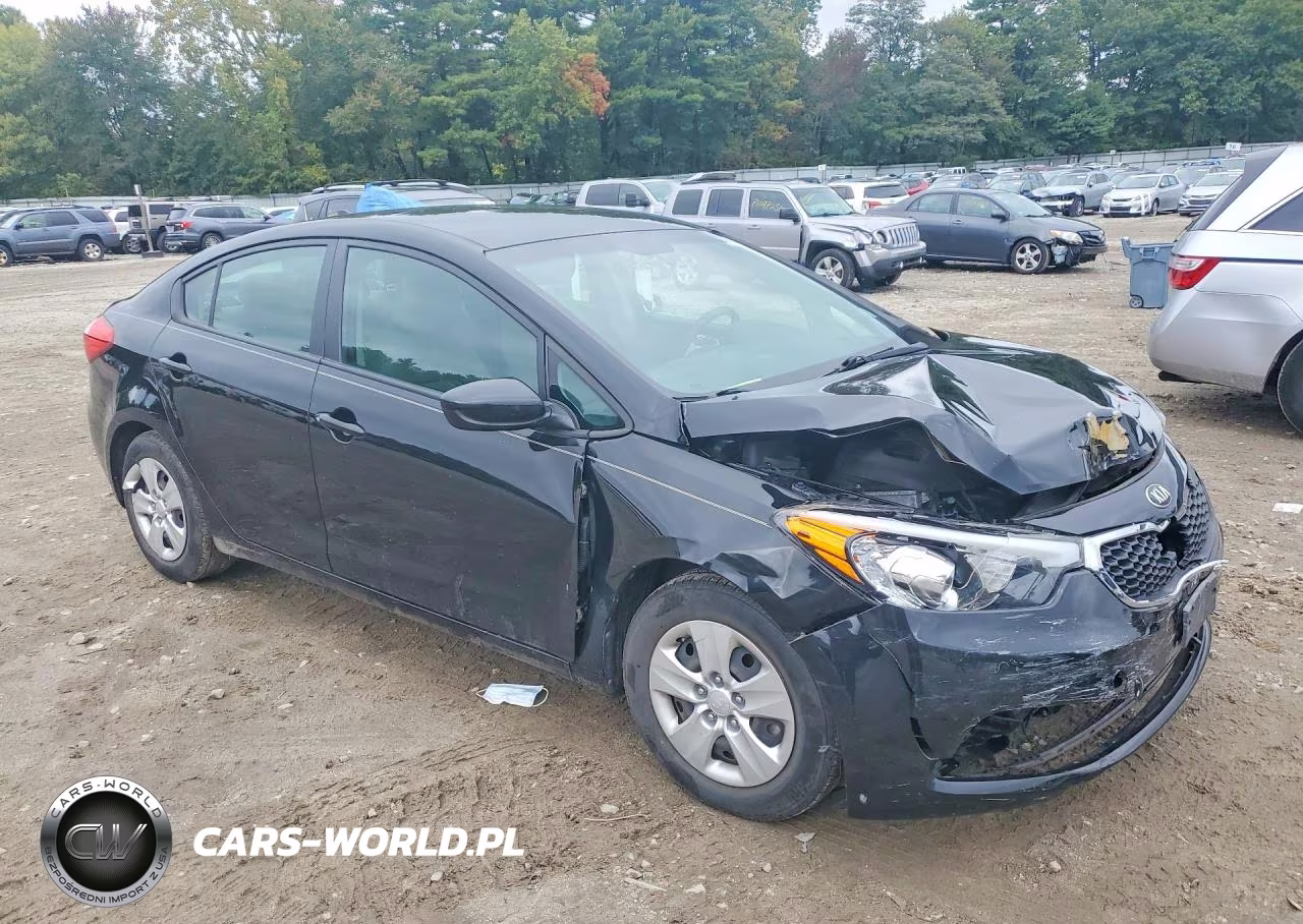 2015 Kia Forte Lx VIN:KNAFK4A67F5392465 - 4