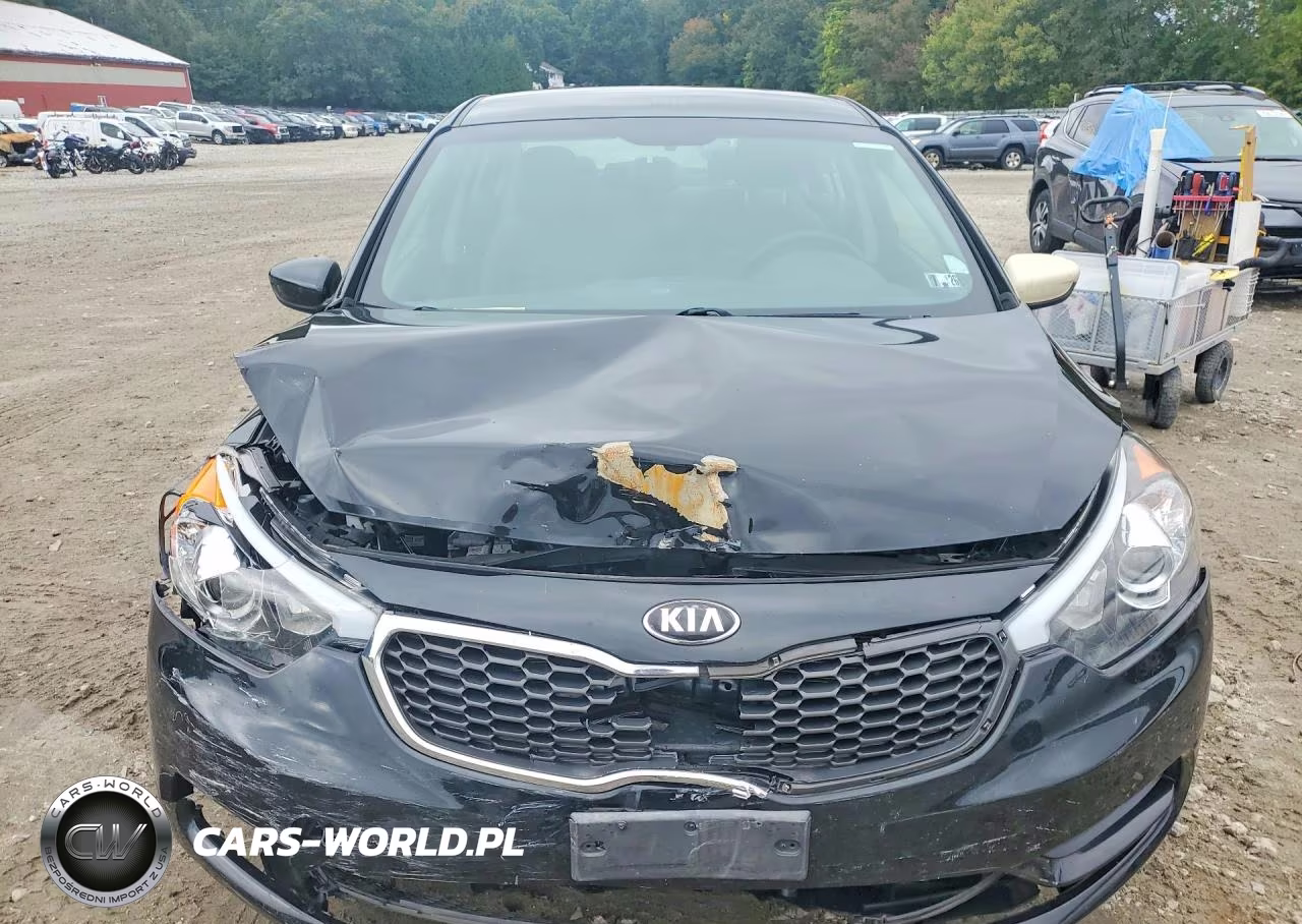 2015 Kia Forte Lx VIN:KNAFK4A67F5392465 - 5