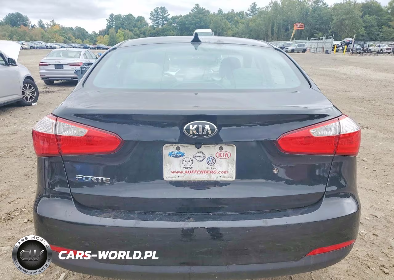 2015 Kia Forte Lx VIN:KNAFK4A67F5392465 - 6