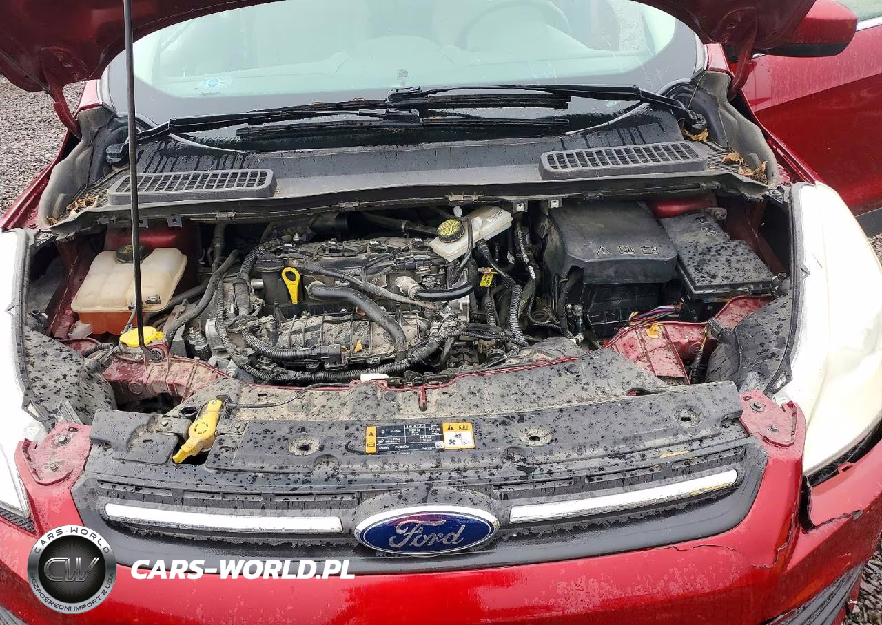 FORD ESCAPE SE VIN:1FMCU0GX8GUA10567 - 12