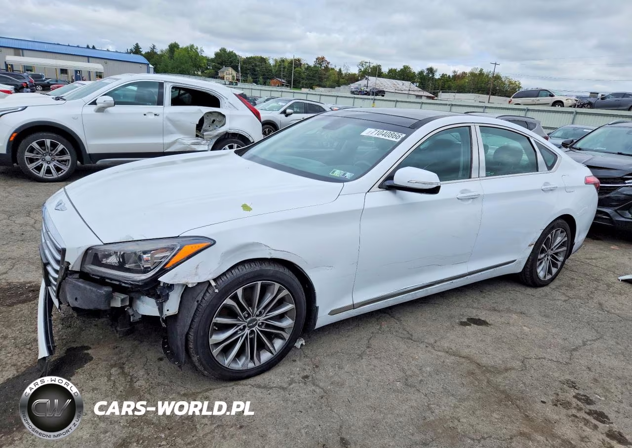 2015 Hyundai Genesis 3.8L VIN:KMHGN4JE5FU052223 - 1