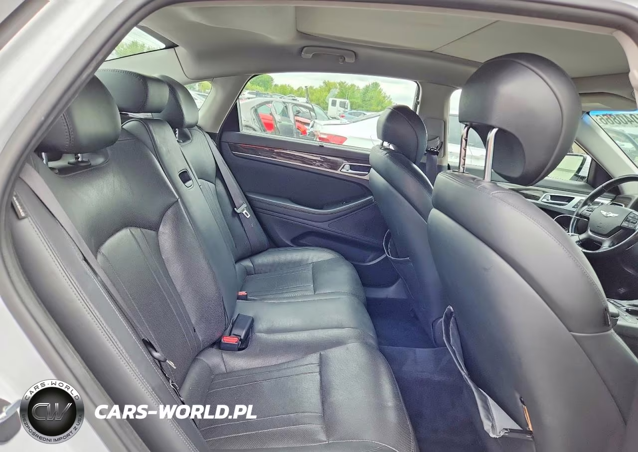 2015 Hyundai Genesis 3.8L VIN:KMHGN4JE5FU052223 - 10
