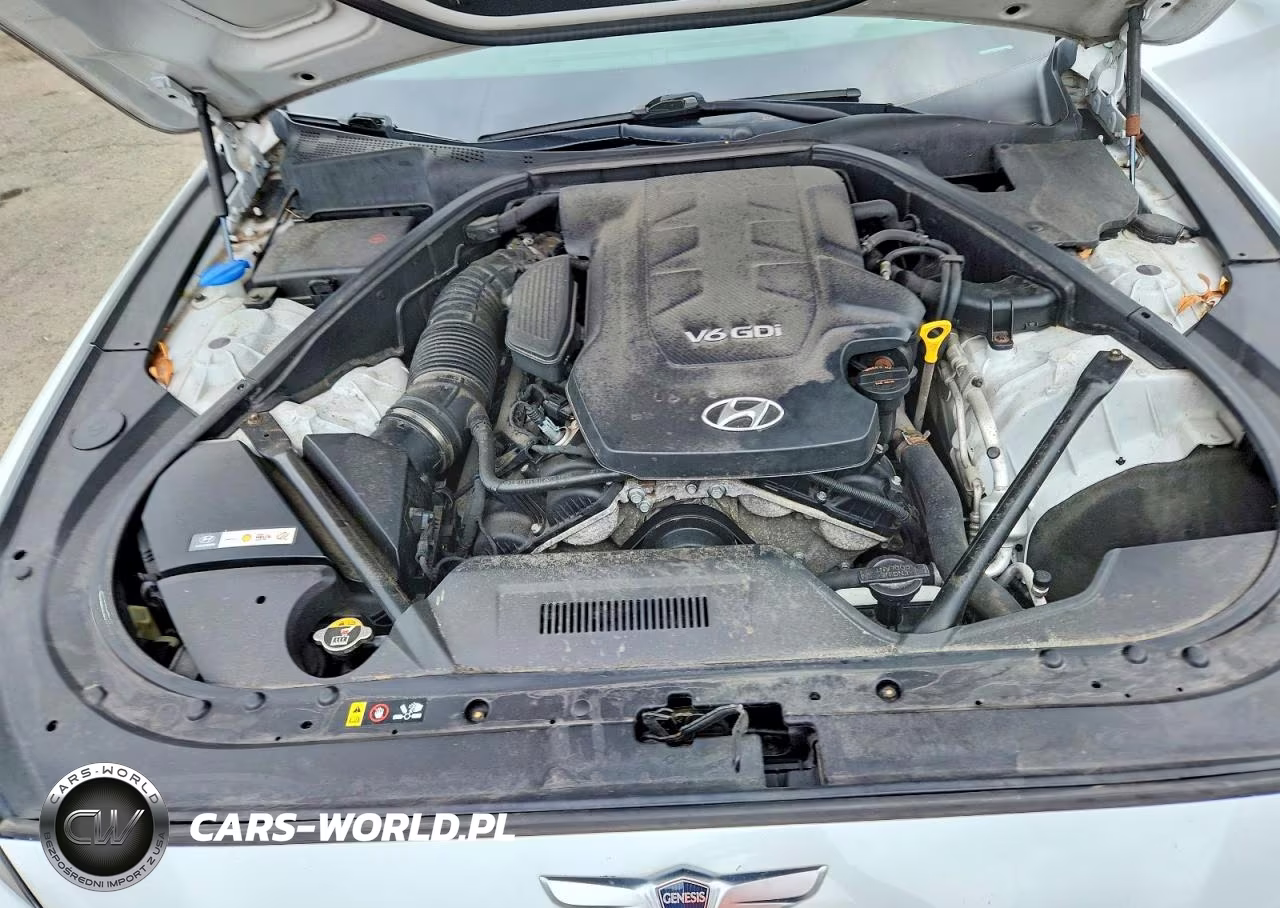 2015 Hyundai Genesis 3.8L VIN:KMHGN4JE5FU052223 - 11