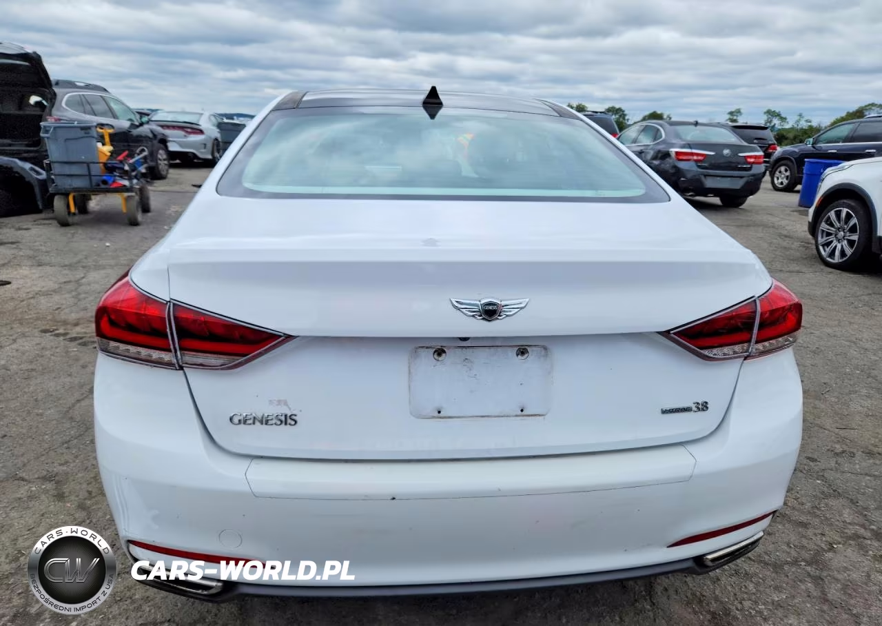 2015 Hyundai Genesis 3.8L VIN:KMHGN4JE5FU052223 - 6