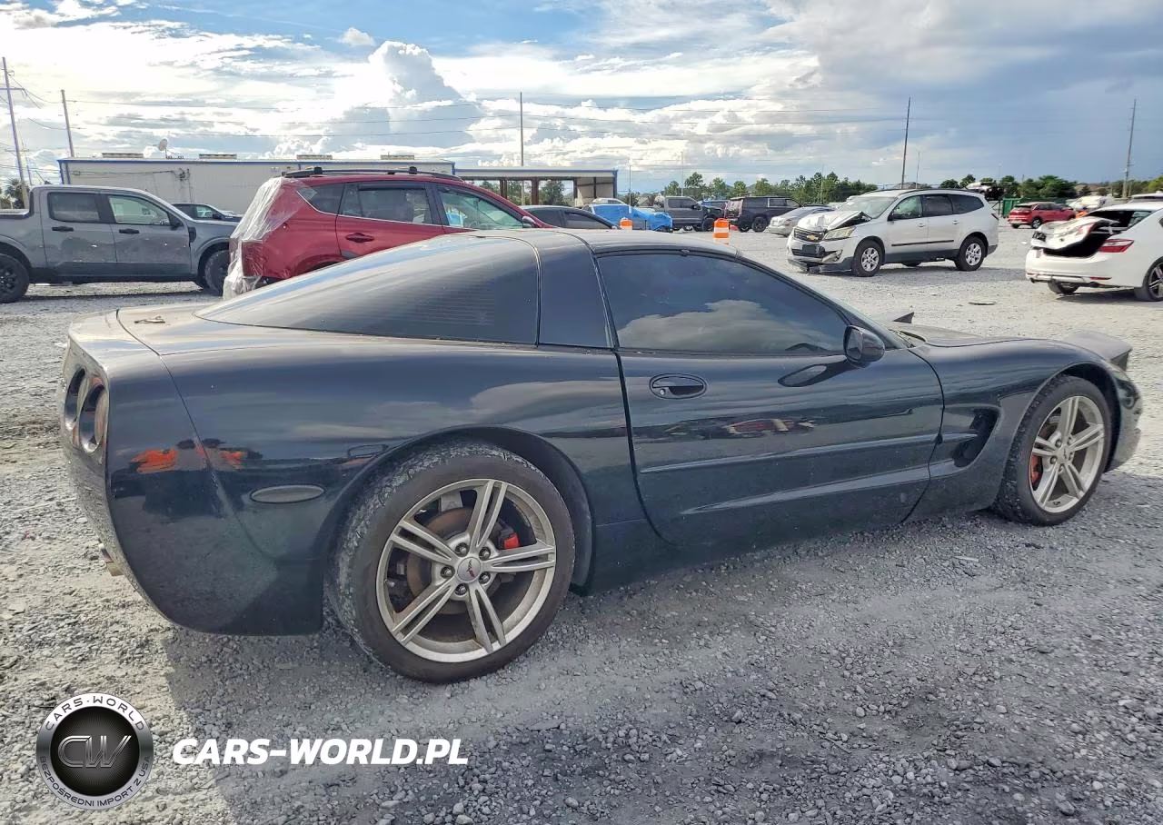 1998 Chevrolet Corvette VIN:1G1YY22G5W5112492 - 3