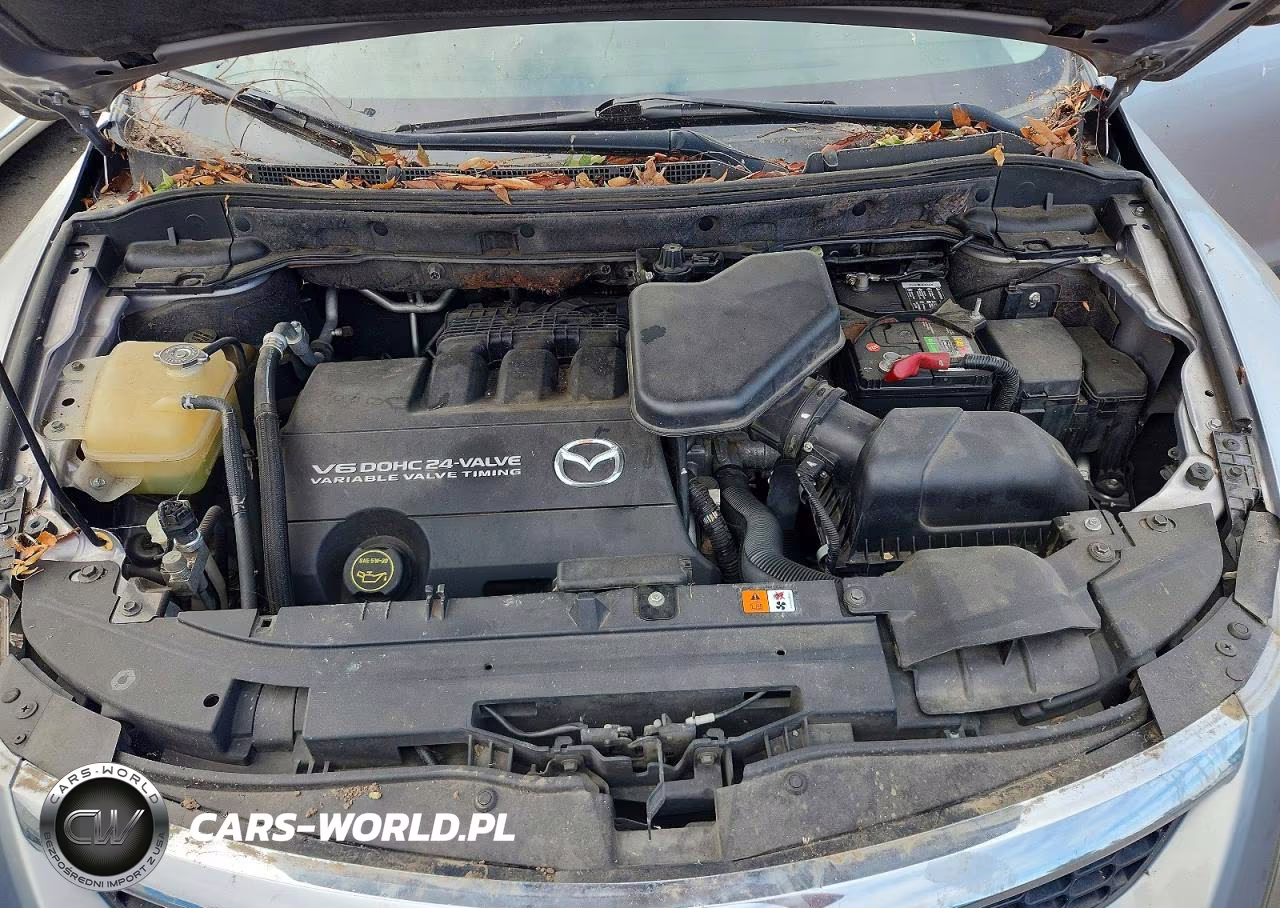 2008 Mazda Cx-9 VIN:JM3TB38AX80150108 - 11