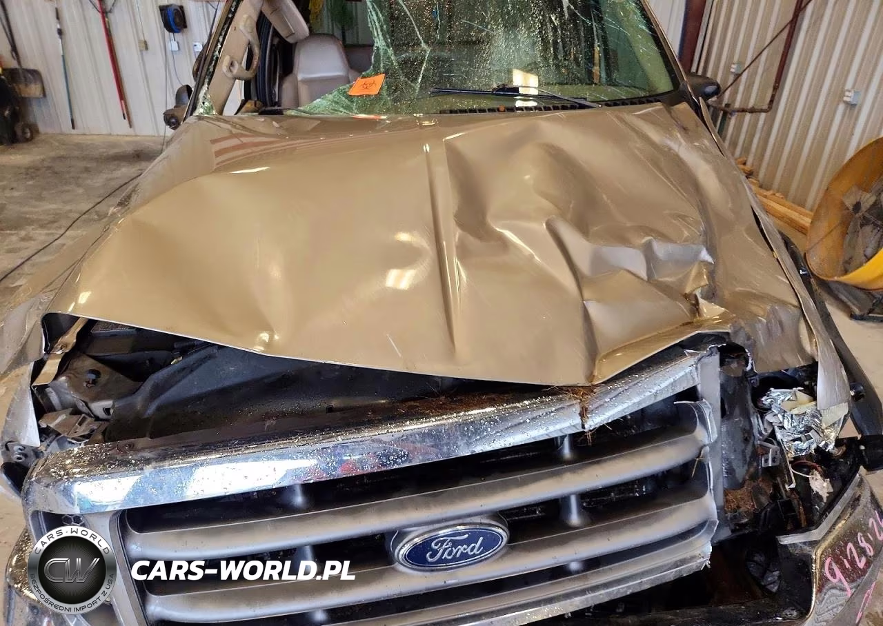 2002 Ford F250 Super Duty VIN:1FTNW21F62ED41329 - 11
