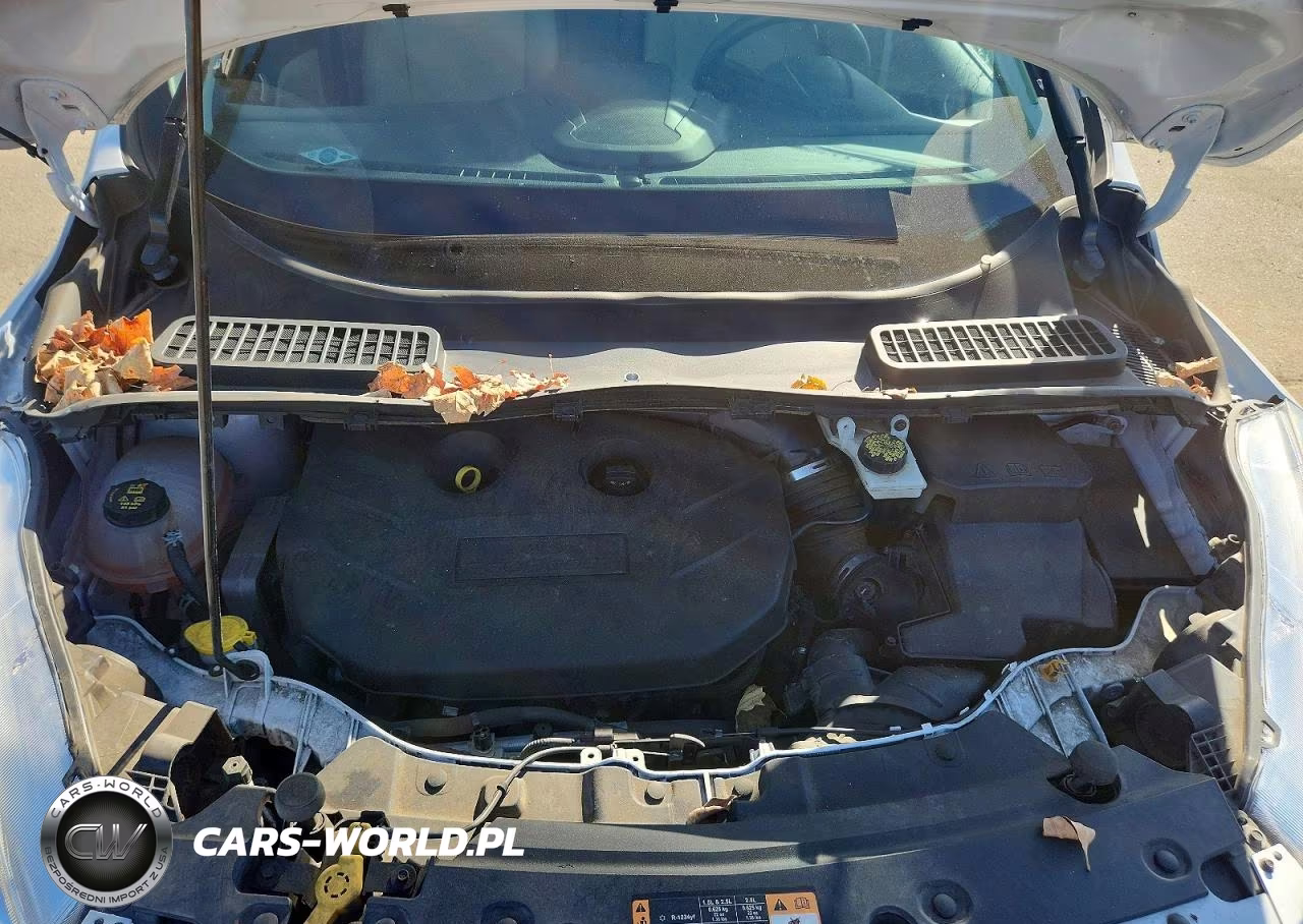 2019 Ford Escape Se VIN:1FMCU0G91KUB13436 - 11