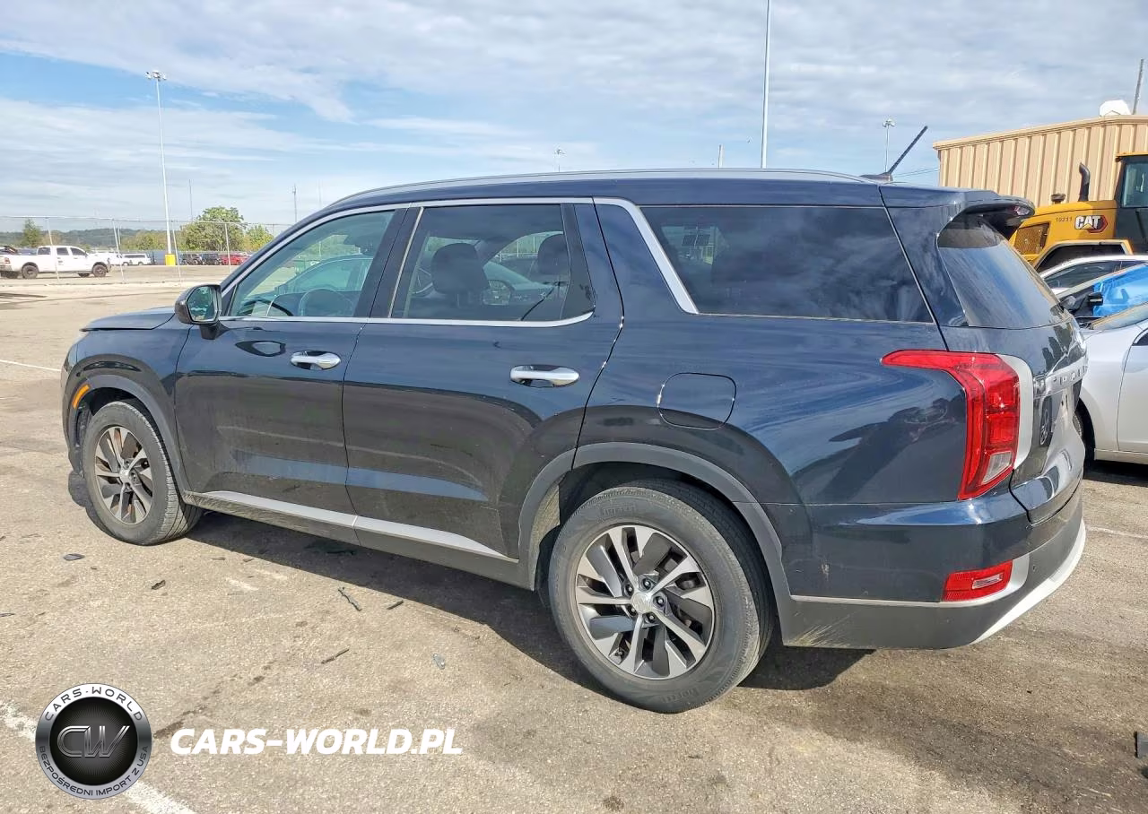 2020 Hyundai Palisade Sel VIN:KM8R24HE4LU051566 - 2