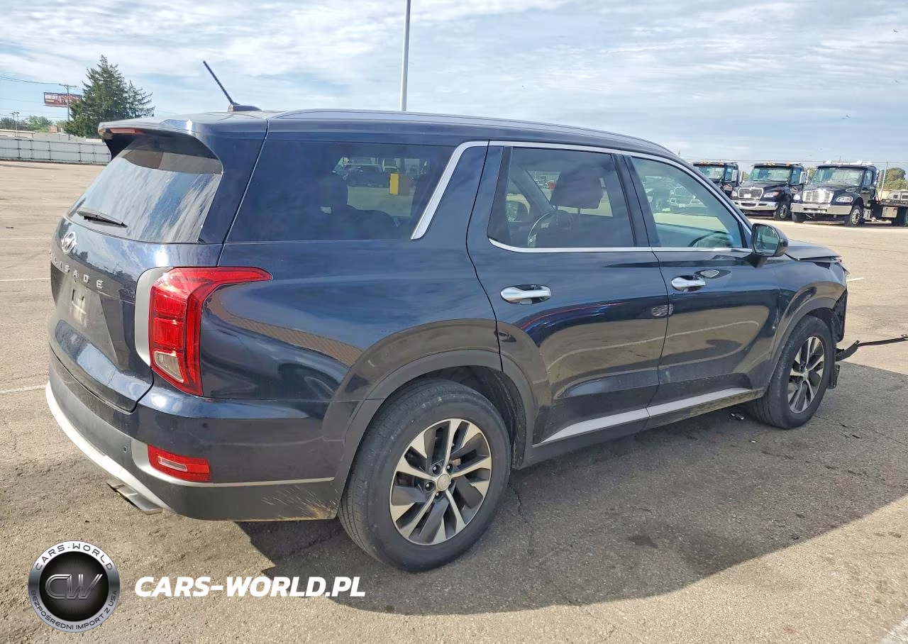 2020 Hyundai Palisade Sel VIN:KM8R24HE4LU051566 - 3