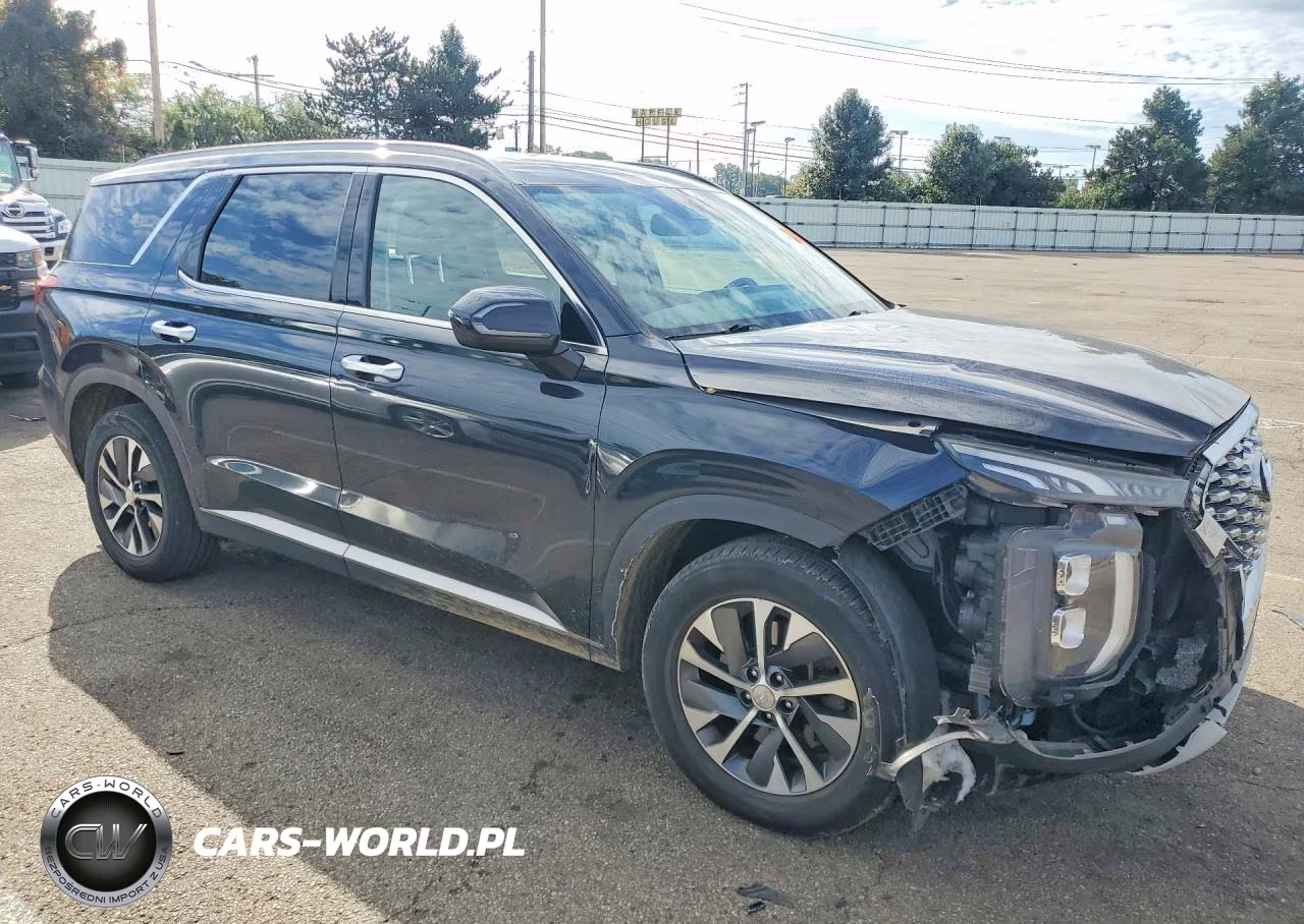 2020 Hyundai Palisade Sel VIN:KM8R24HE4LU051566 - 4