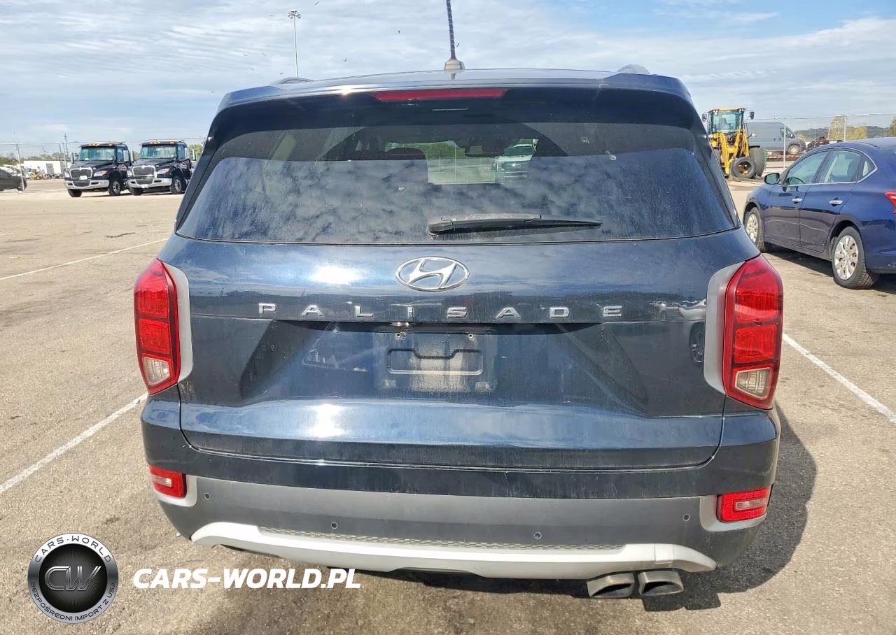 2020 Hyundai Palisade Sel VIN:KM8R24HE4LU051566 - 6