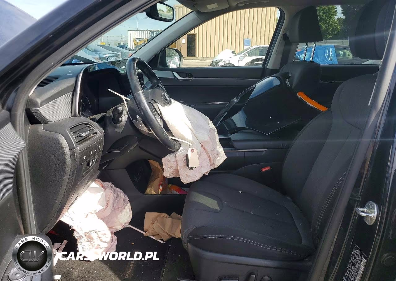 2020 Hyundai Palisade Sel VIN:KM8R24HE4LU051566 - 7