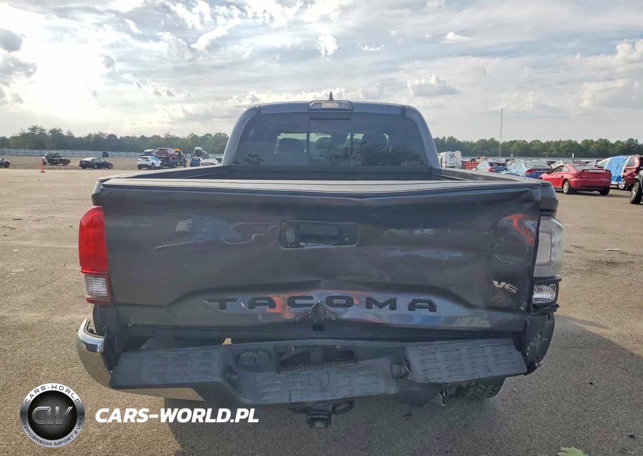 2019 Toyota Tacoma Trd Off-Road VIN:3TMDZ5BN1KM068031 - 6