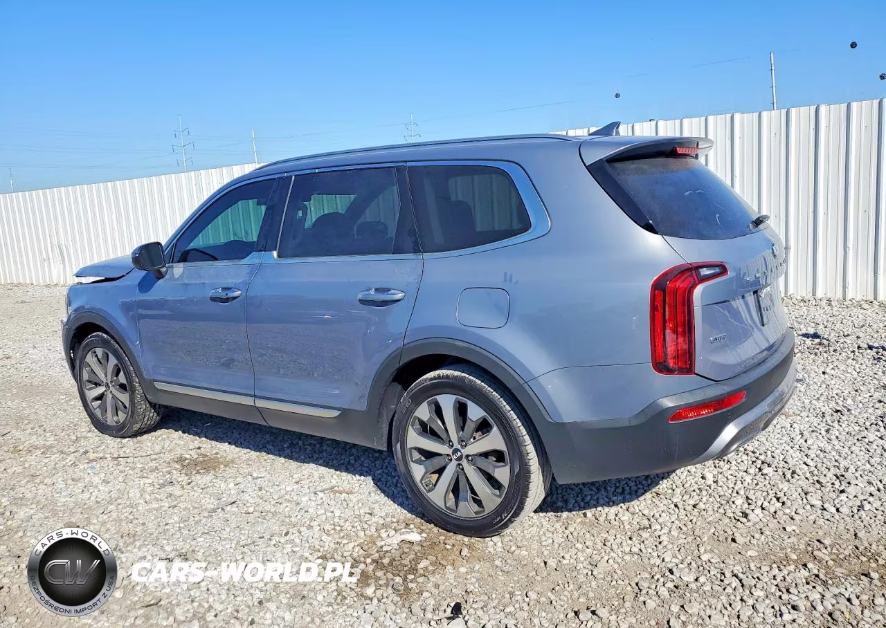 2021 Kia Telluride S VIN:5XYP6DHC4MG187214 - 2