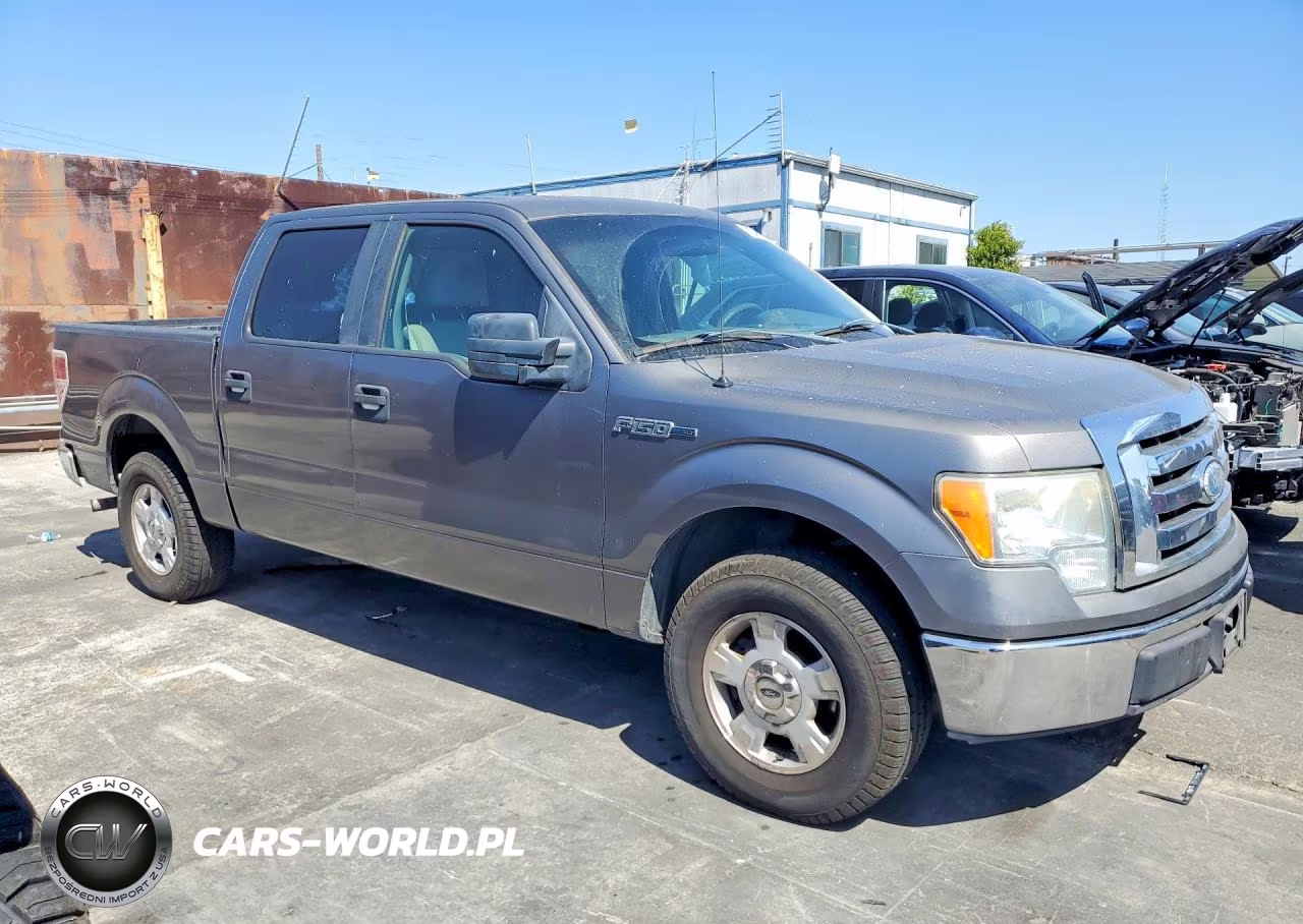 2009 Ford F150 Supercrew VIN:1FTRW12879FA88568 - 4