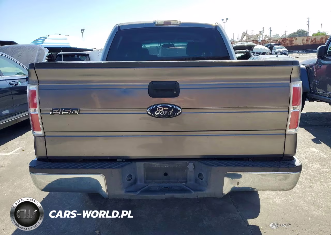 2009 Ford F150 Supercrew VIN:1FTRW12879FA88568 - 6