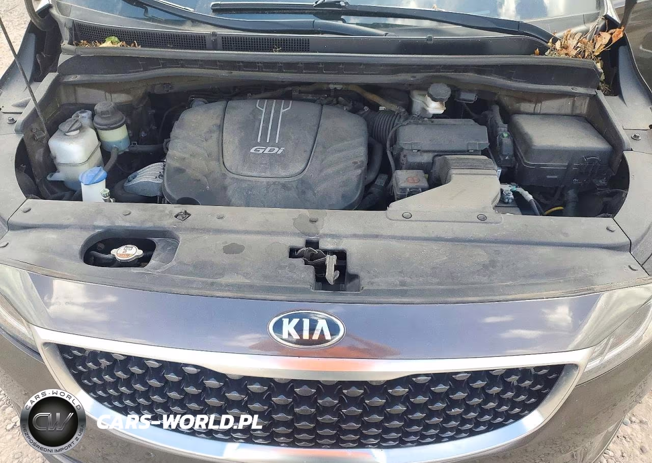 2016 Kia Sedona Lx VIN:KNDMB5C11G6211910 - 12