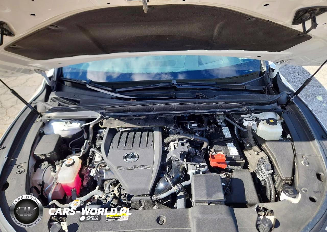 2023 Lexus Rx 350 Premium+ VIN:2T2BAMCA0PC024411 - 12