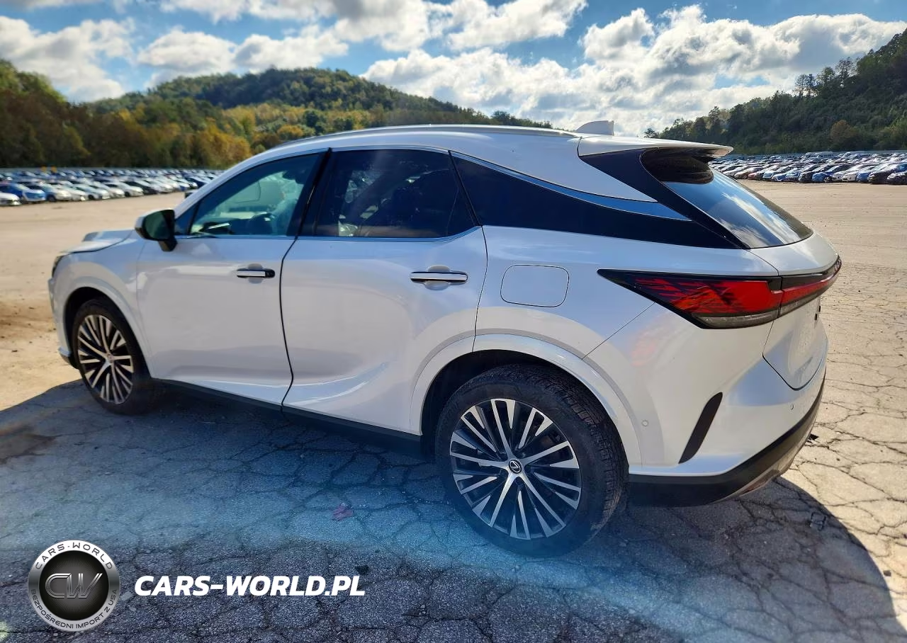 2023 Lexus Rx 350 Premium+ VIN:2T2BAMCA0PC024411 - 2