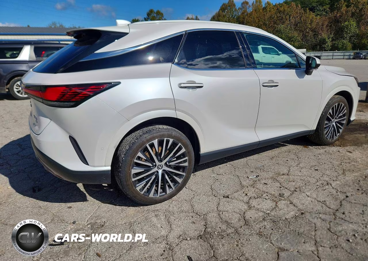2023 Lexus Rx 350 Premium+ VIN:2T2BAMCA0PC024411 - 3