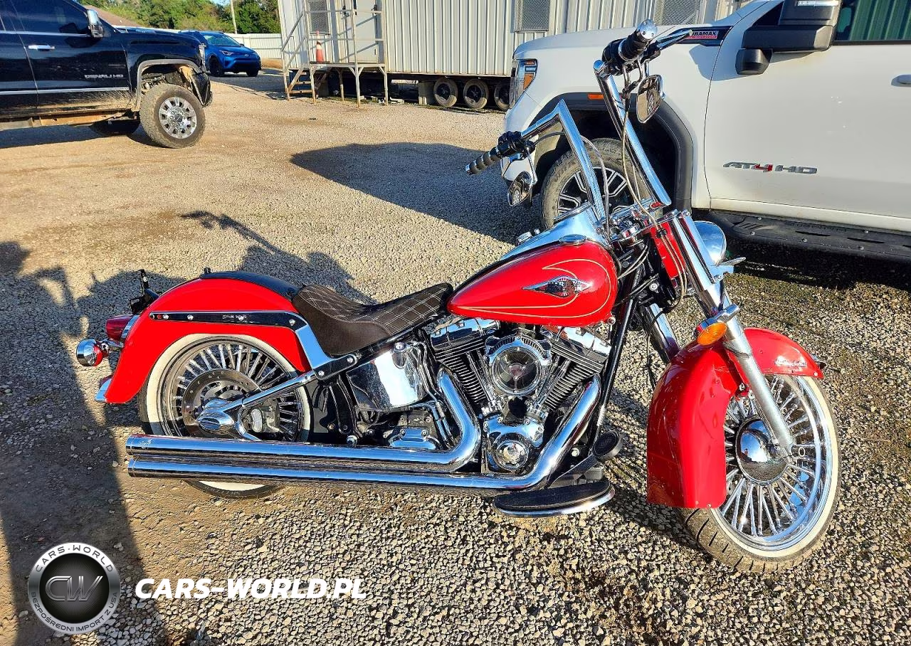 2010 Harley-Davidson Flstc