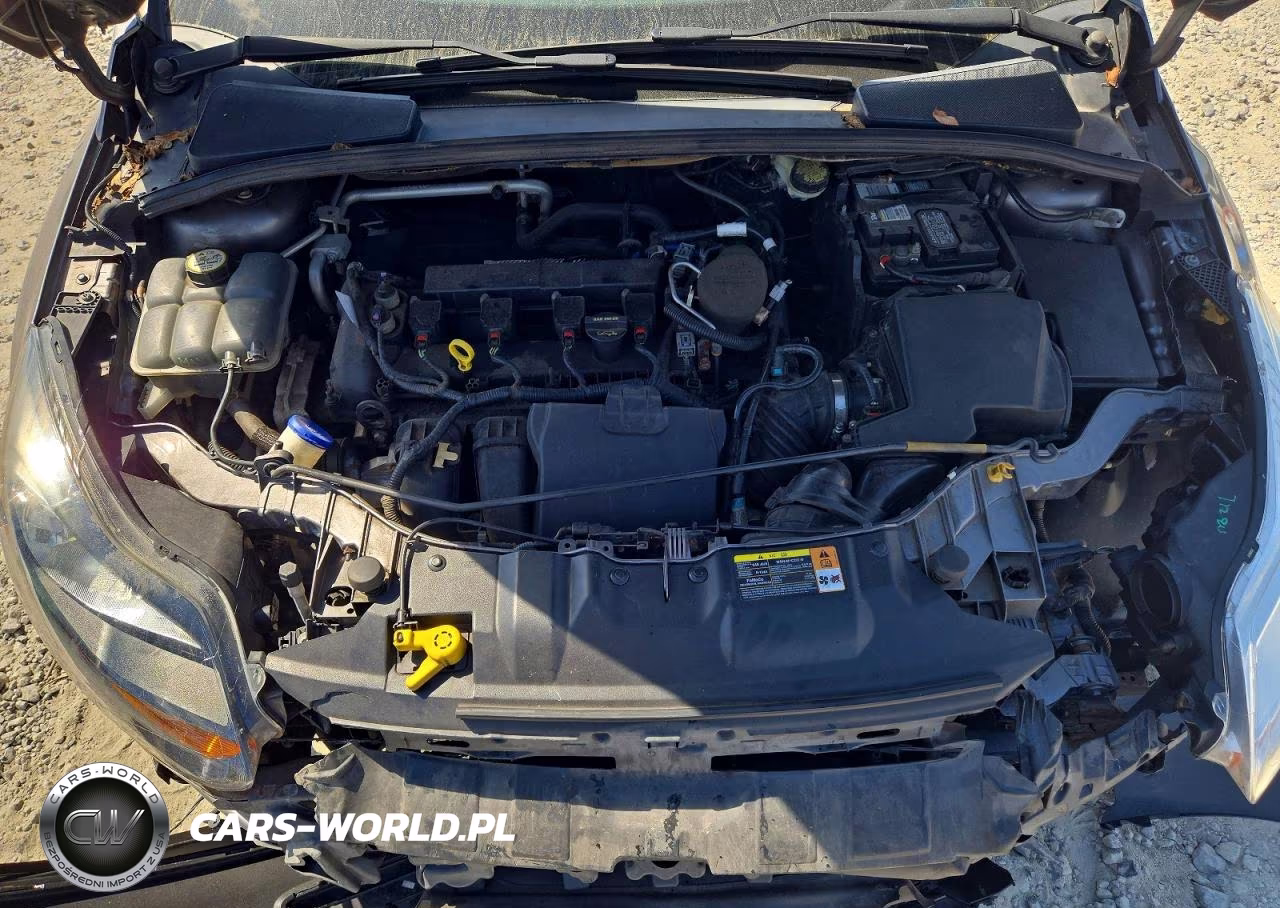 2014 Ford Focus Titanium VIN:1FADP3N29EL204977 - 11