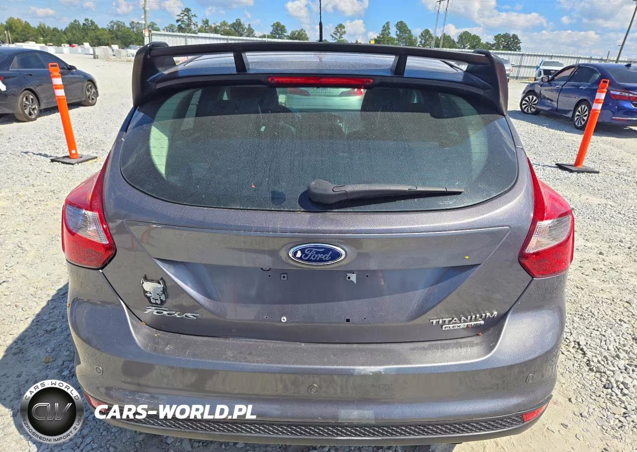 2014 Ford Focus Titanium VIN:1FADP3N29EL204977 - 6