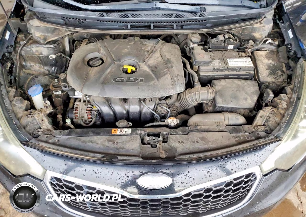 2014 Kia Forte Ex VIN:KNAFX4A80E5046923 - 11