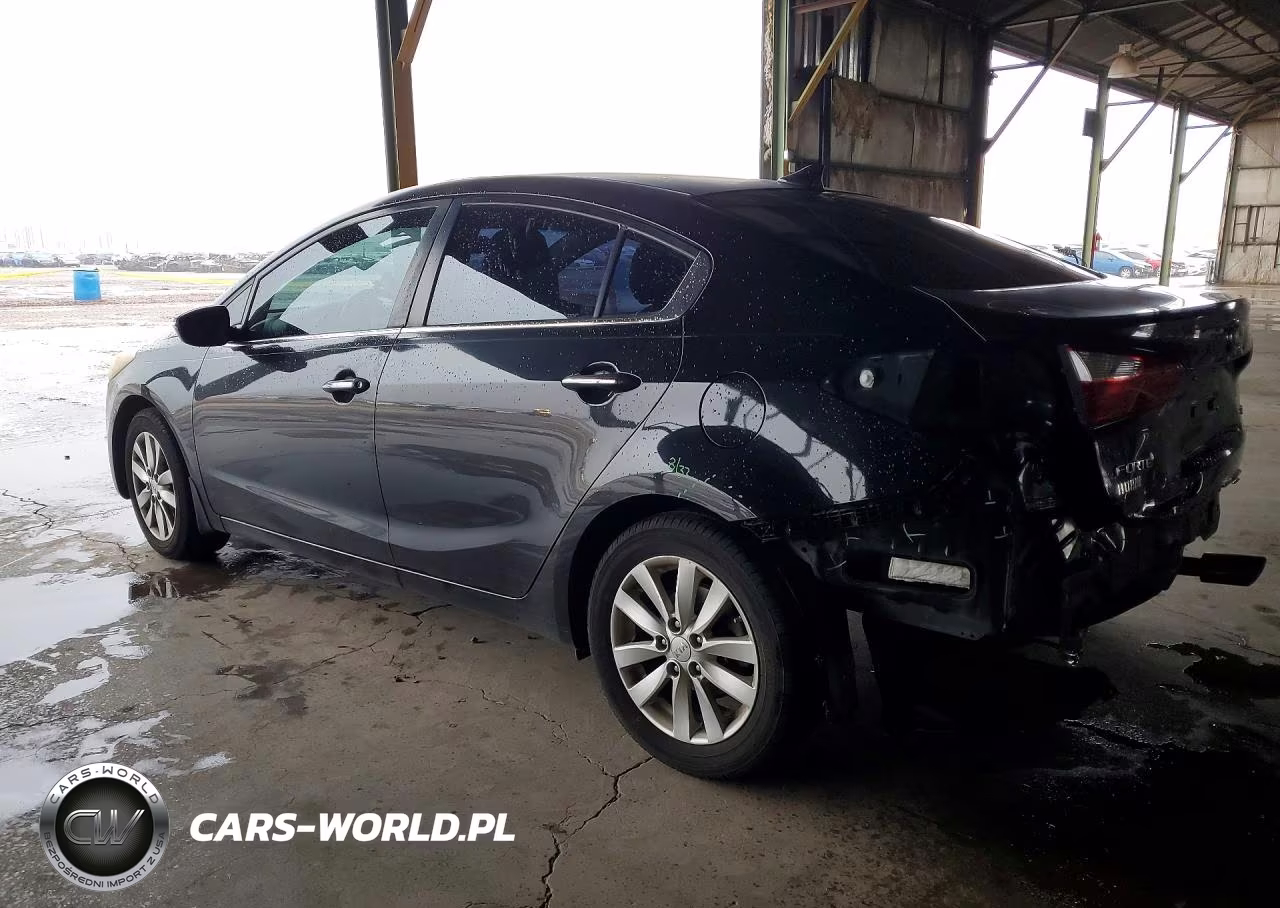 2014 Kia Forte Ex VIN:KNAFX4A80E5046923 - 2