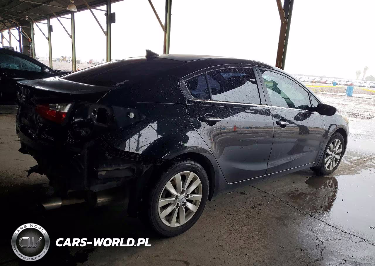 2014 Kia Forte Ex VIN:KNAFX4A80E5046923 - 3
