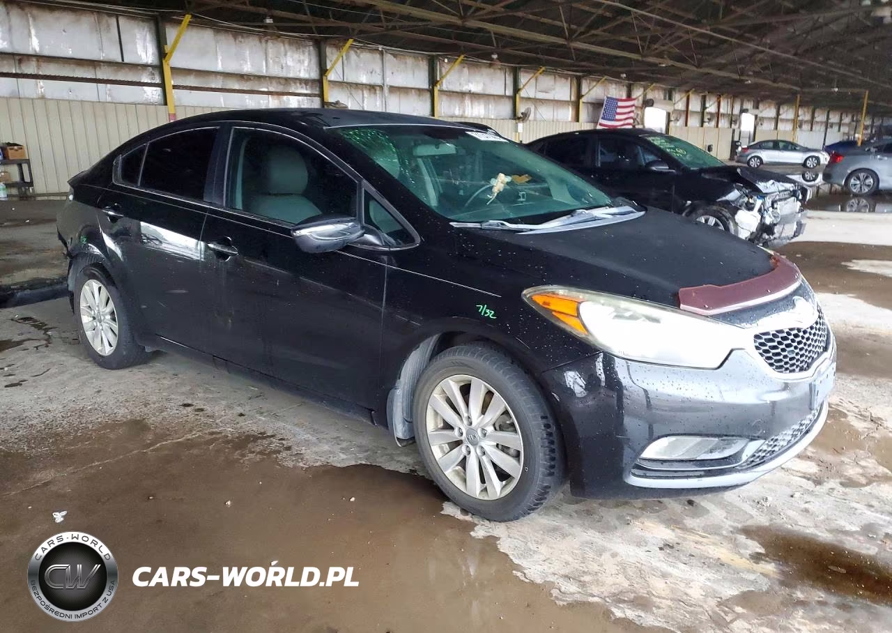 2014 Kia Forte Ex VIN:KNAFX4A80E5046923 - 4