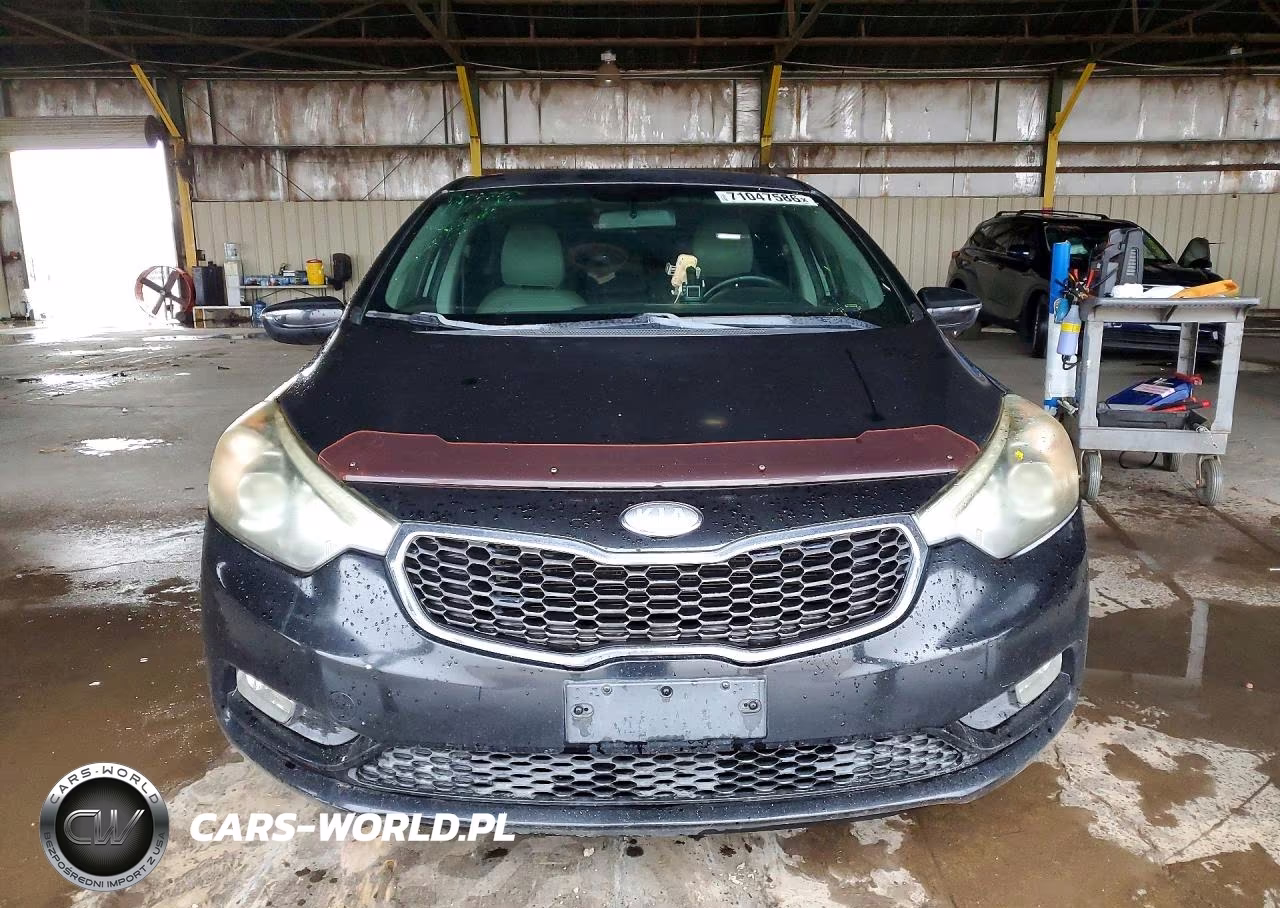 2014 Kia Forte Ex VIN:KNAFX4A80E5046923 - 5