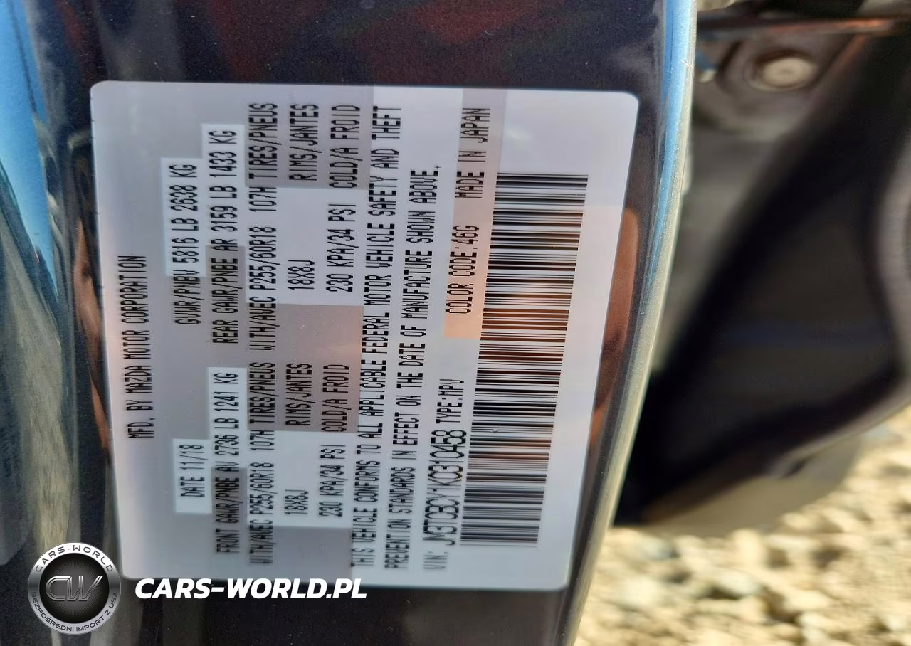 2019 Mazda Cx-9 Touring VIN:JM3TCBCY1K0310458 - 13