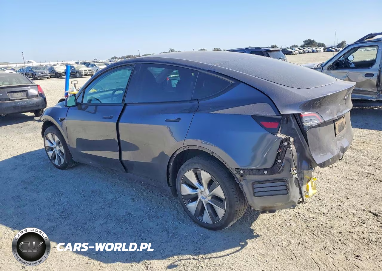 2023 Tesla Model Y VIN:7SAYGDEE6PF711761 - 2